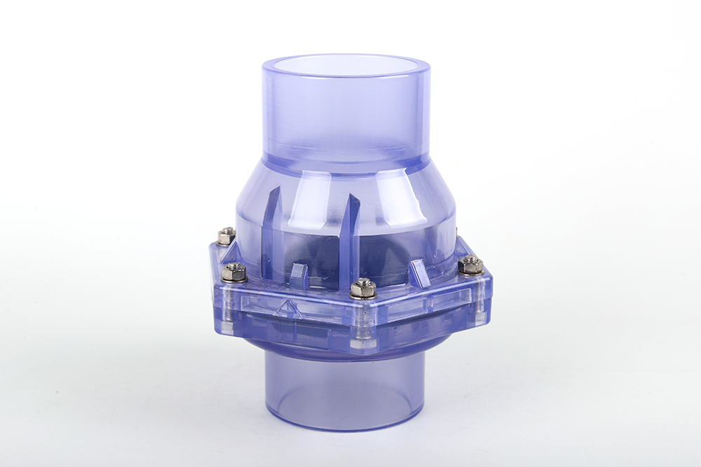 带岭透明翻板式止回阀